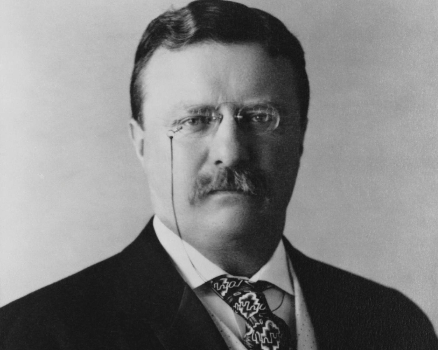 THEODORE ROOSEVELT