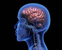 4. Prioritize your brain use