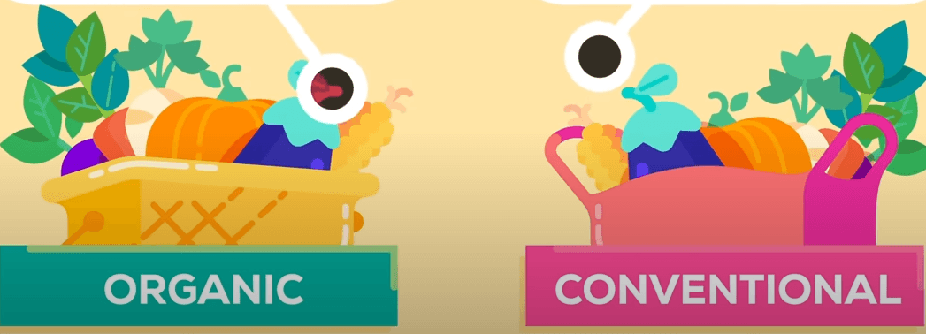 Organic vs. Non-Organic: A Health and Nutritional Comparison