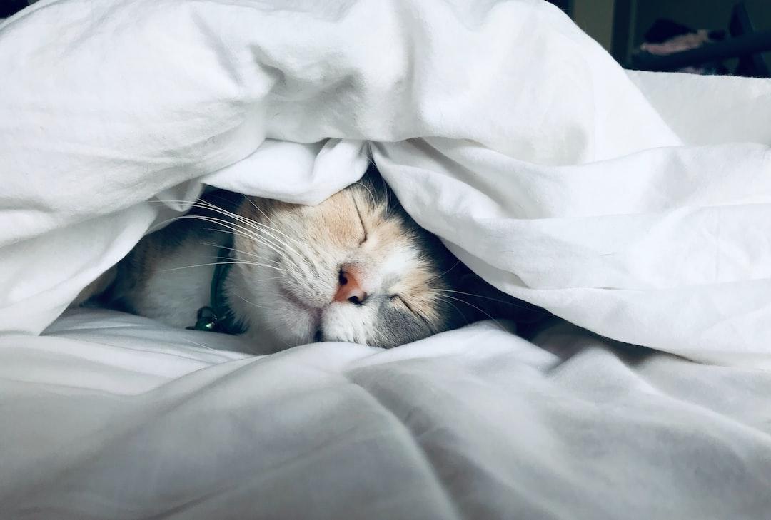 Quality Rest: Recharging Your Mental Batteries