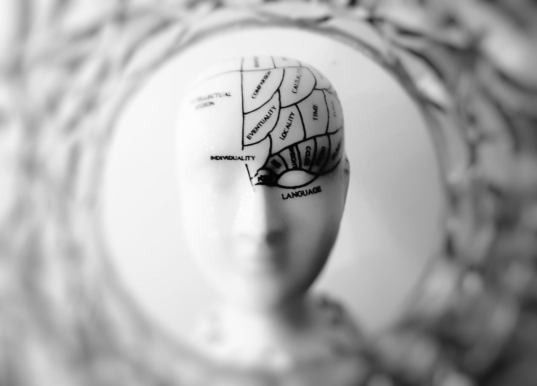The Survival Brain