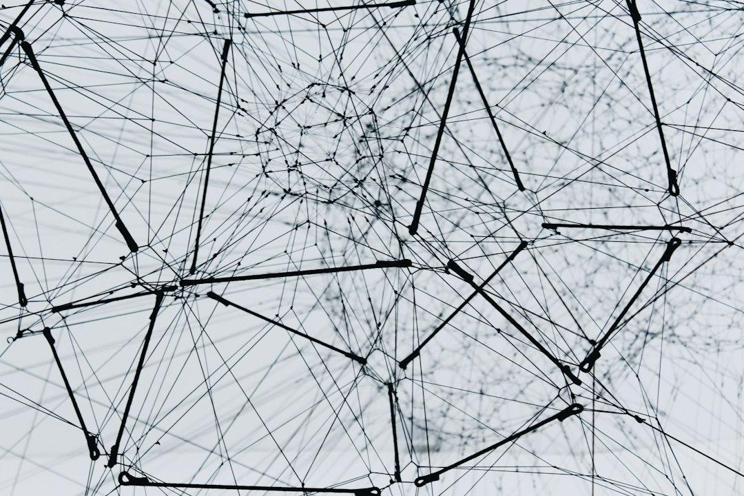 Designing for network externalities