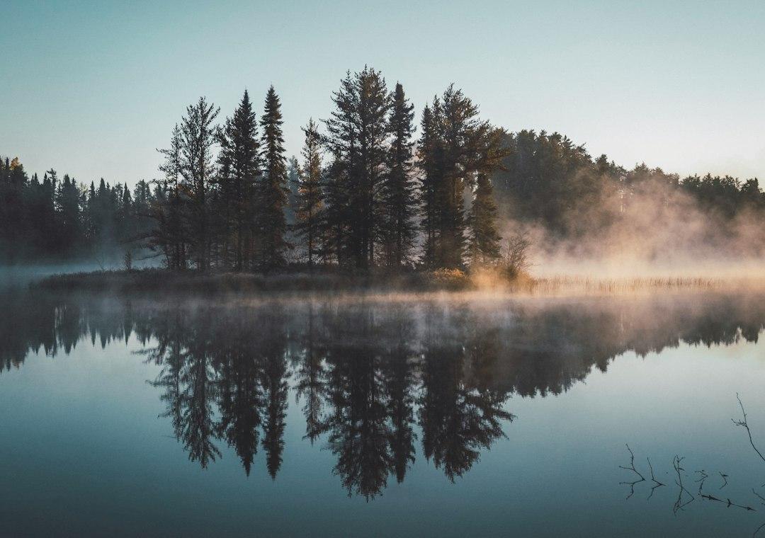Reflection and Adaptation