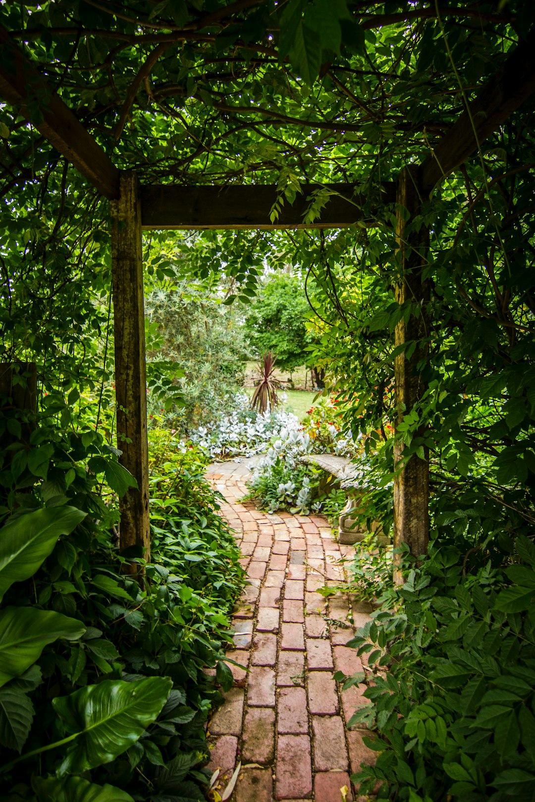 What Exactly Is a Digital Garden?