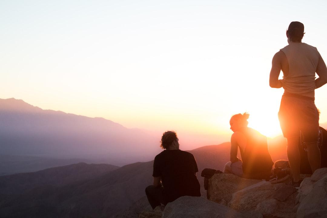 The Cycle of Dysfunctional Family Dynamics