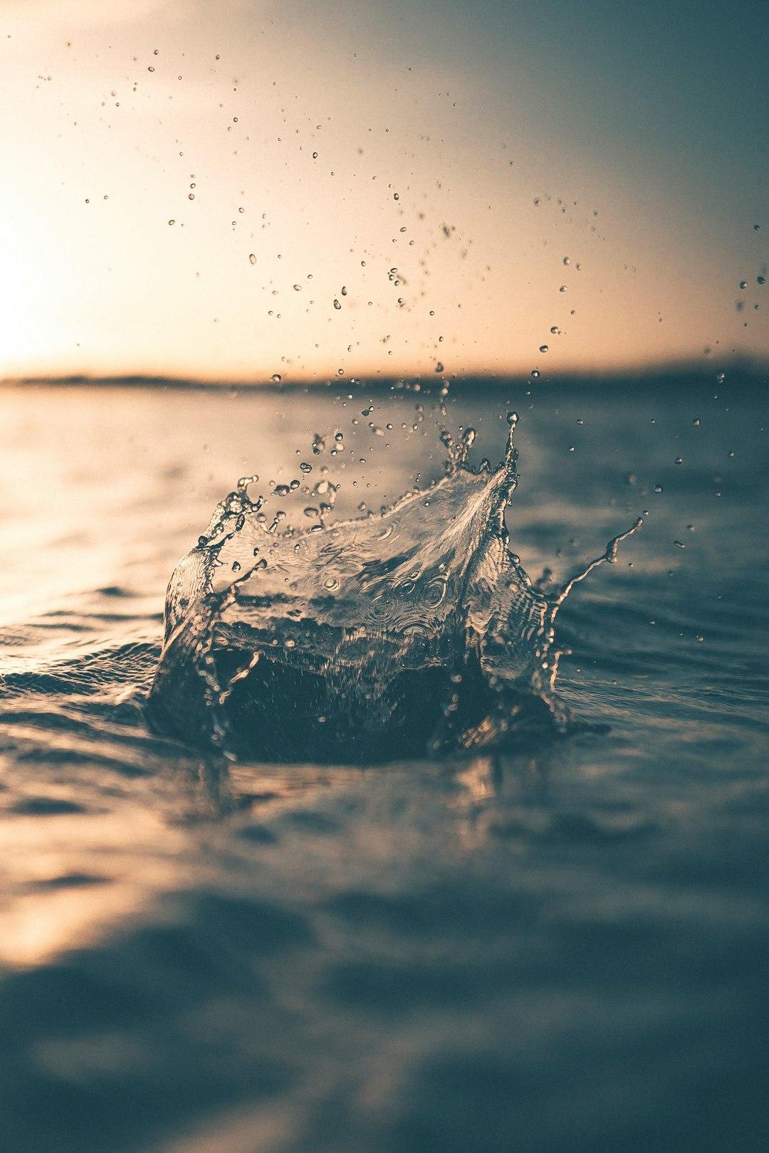 7 — The Water Necessity (2)