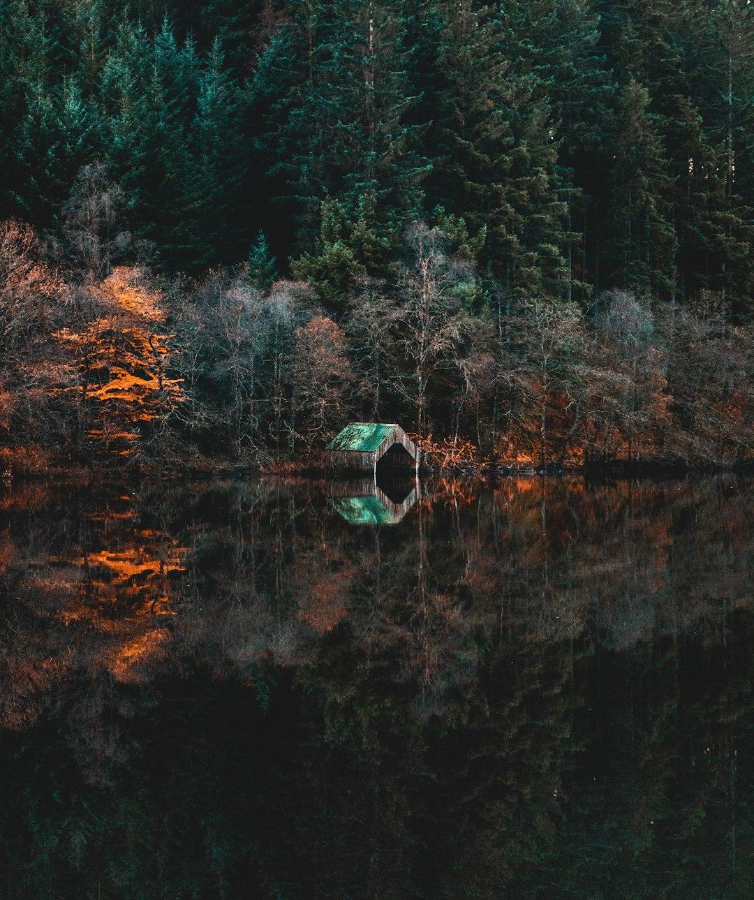 Let Nature Mirror You 🍂