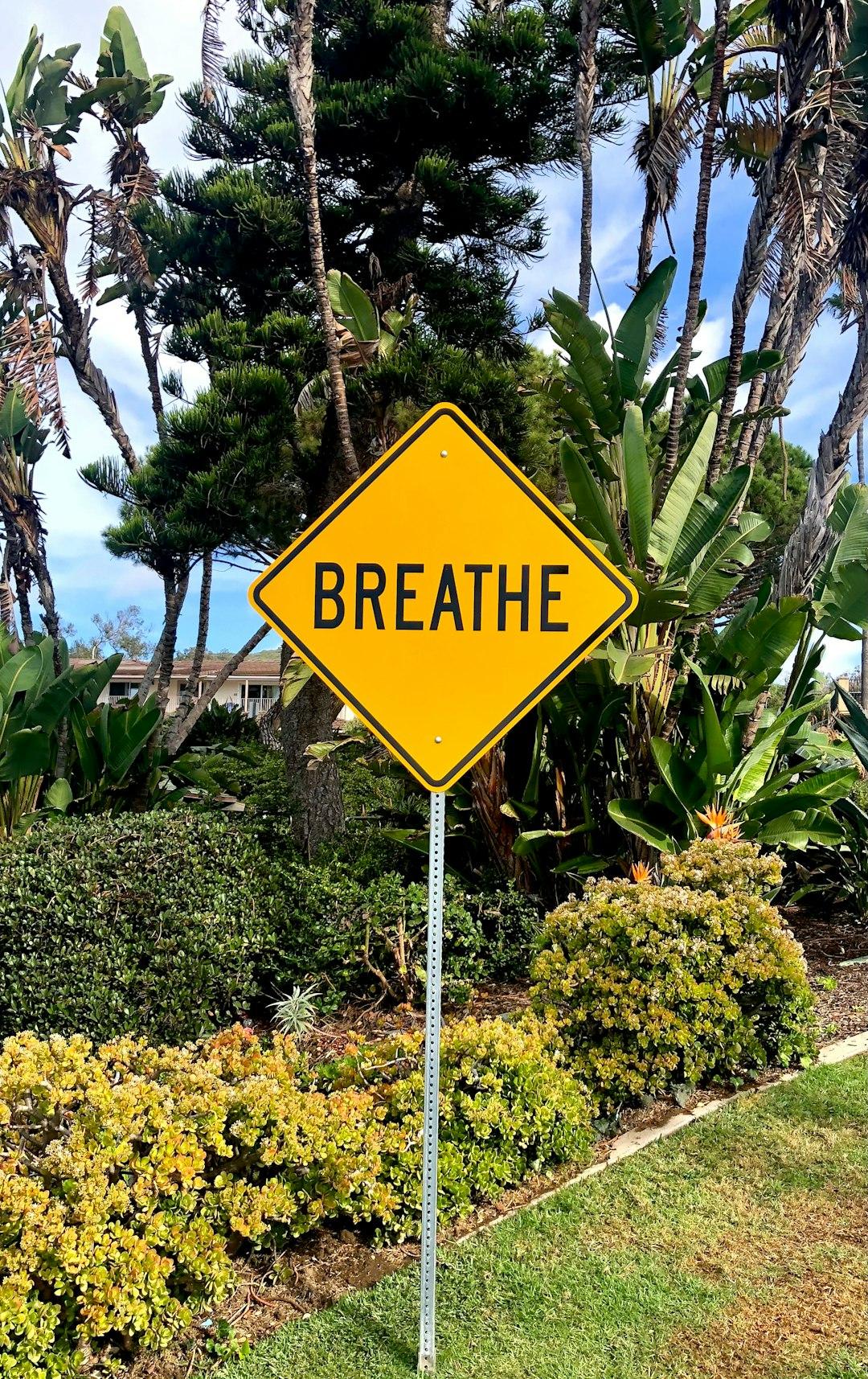 Nature Breath-work 💨