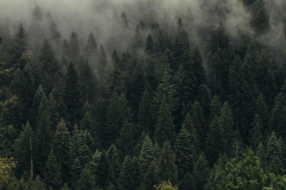 JOHN MUIR 