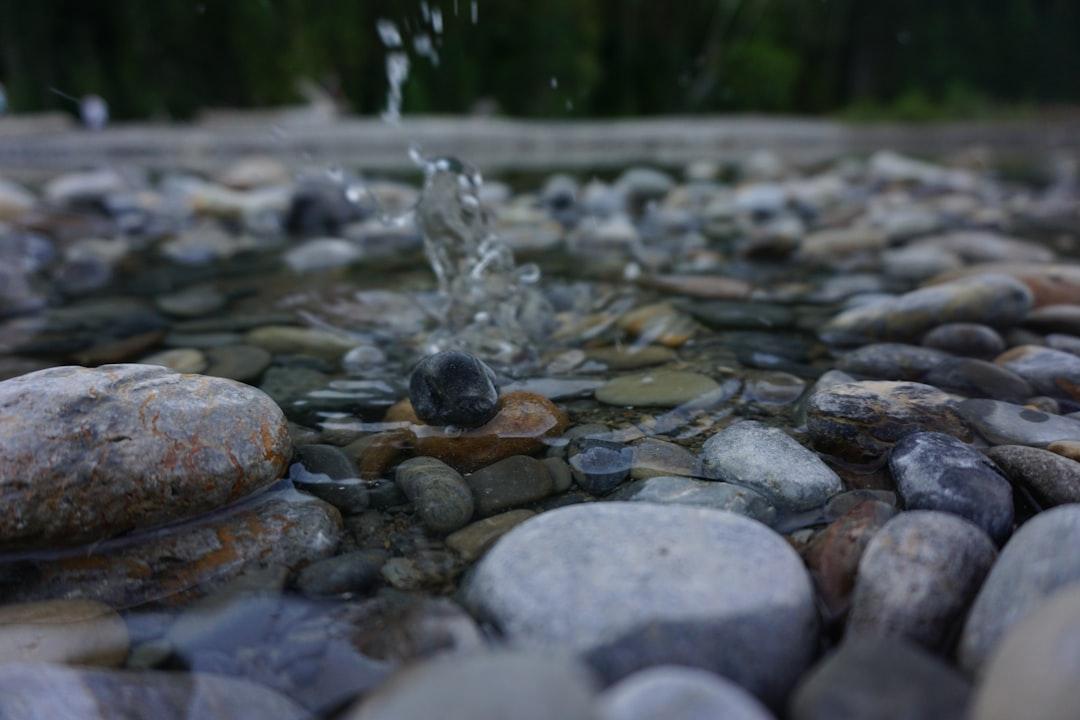 Water Watching 💧