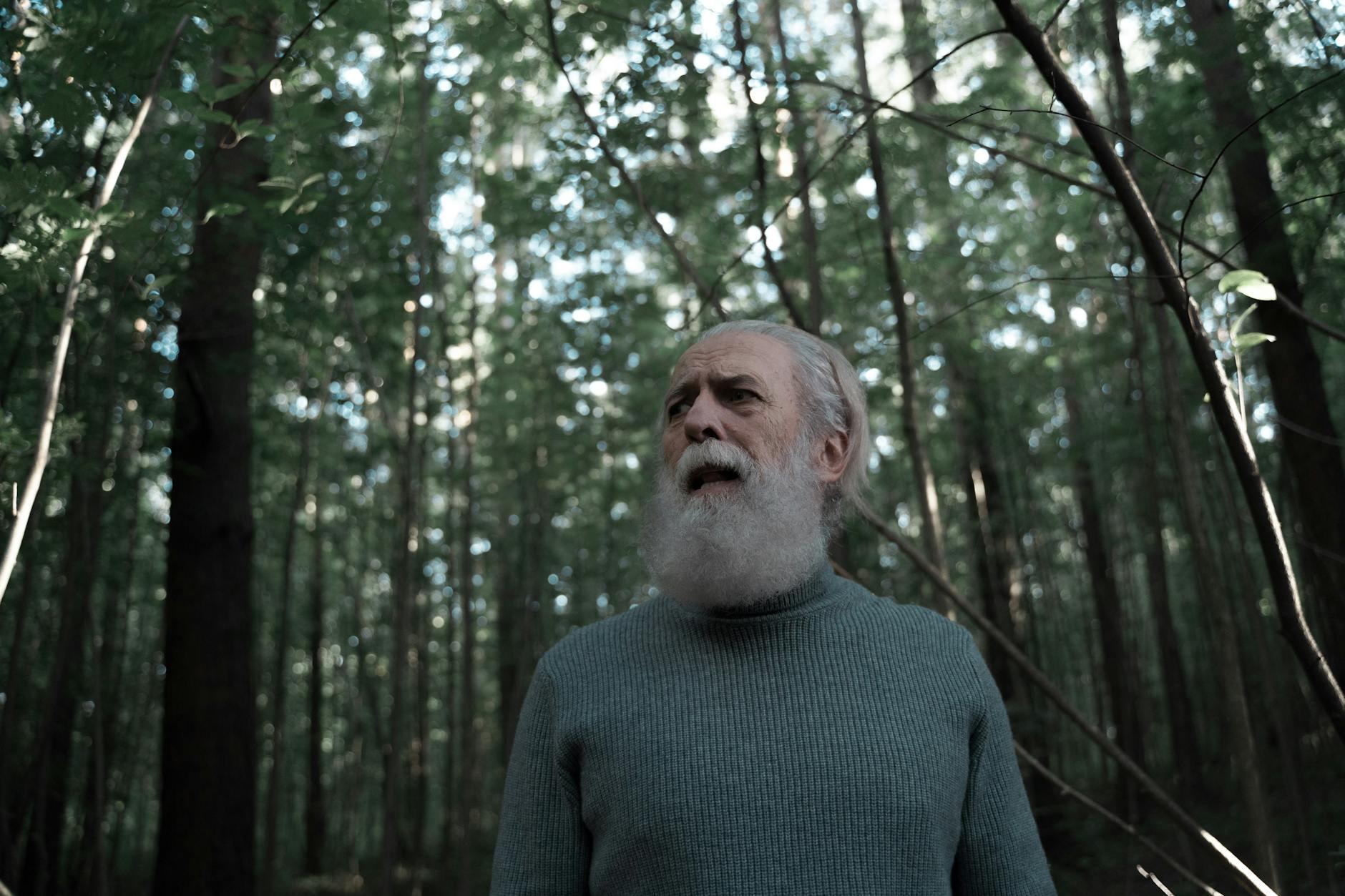 The Lost Of The Self