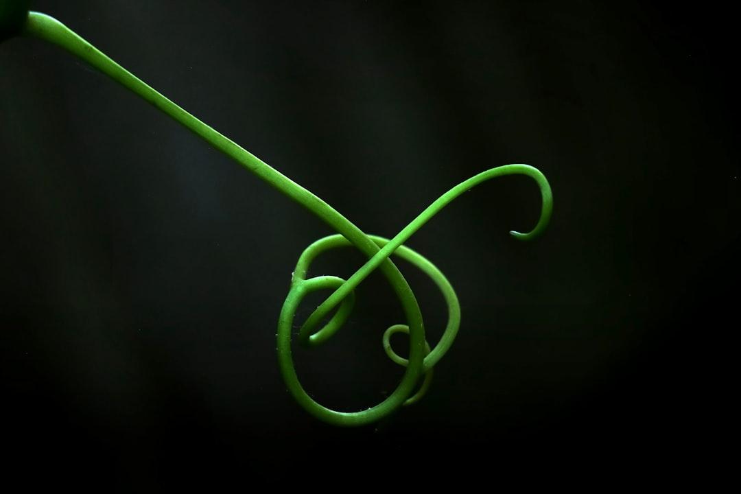 1. Label the loop