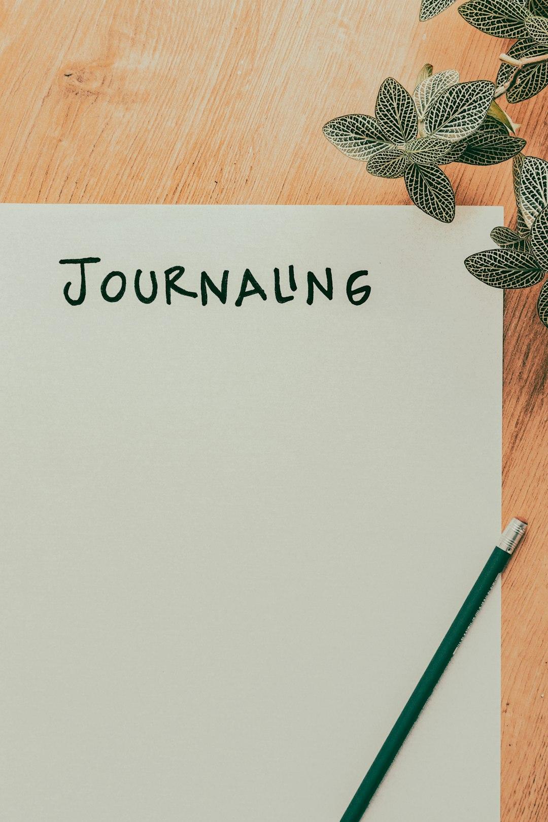 3. Journal the loop, not the solution