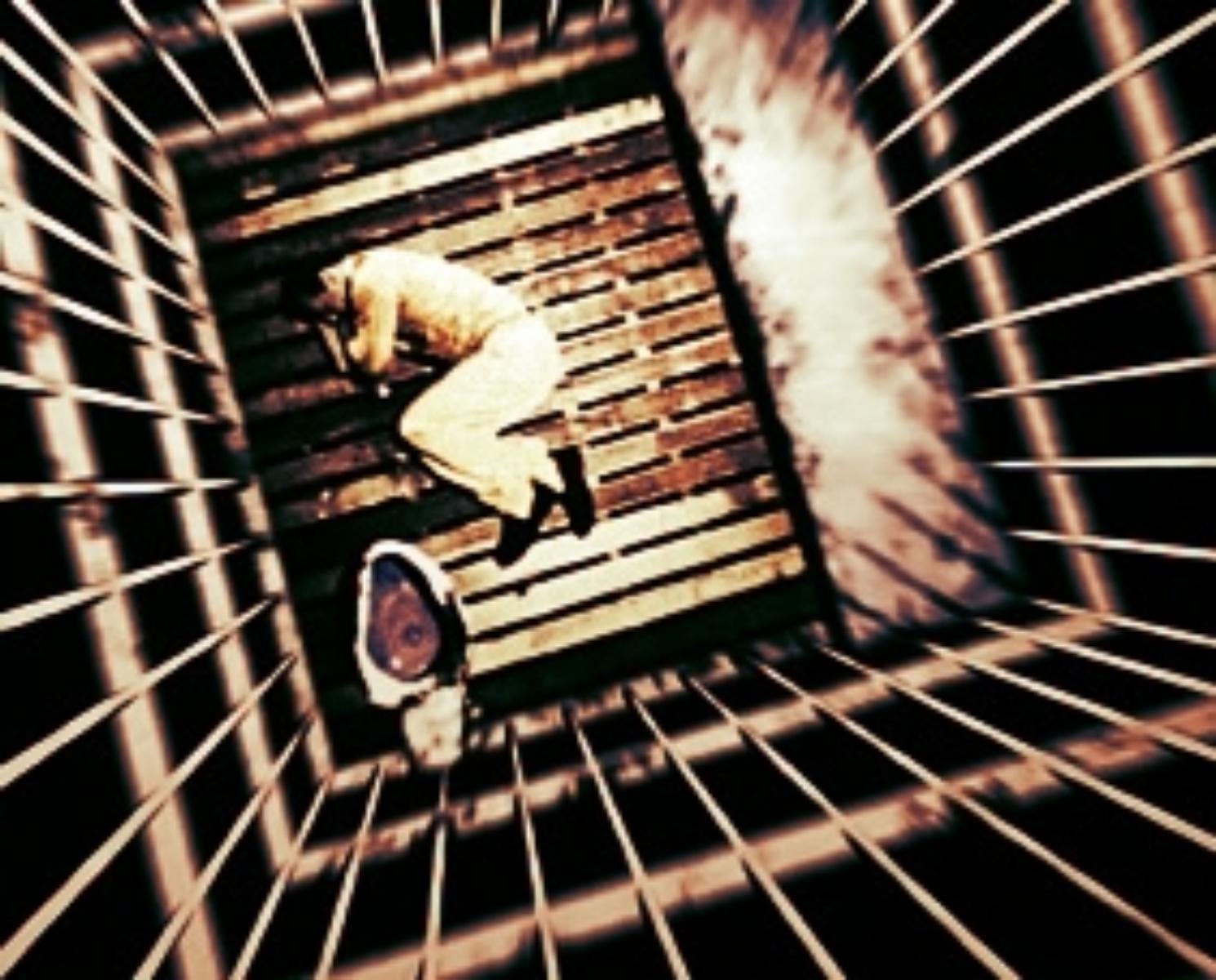 What‘s wrong with prisons?