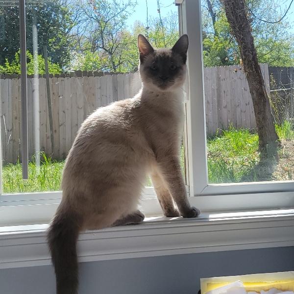Iz Zi (@24thhour) - Profile Photo